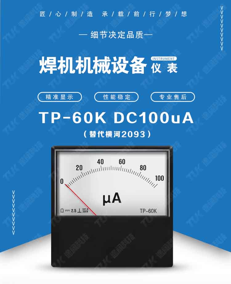 30-2093DC100uA.jpg